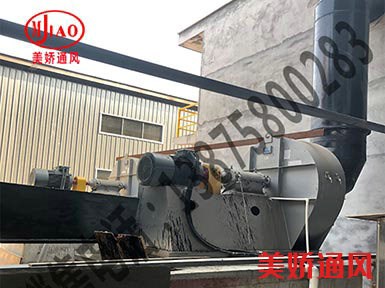 大型生物科技有限公司配套我公司風機點火成功！